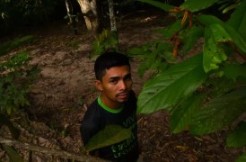 ‘Vamos achar ele’: ativista ambiental é ameaçado por madeireiros em Santarém (PA)